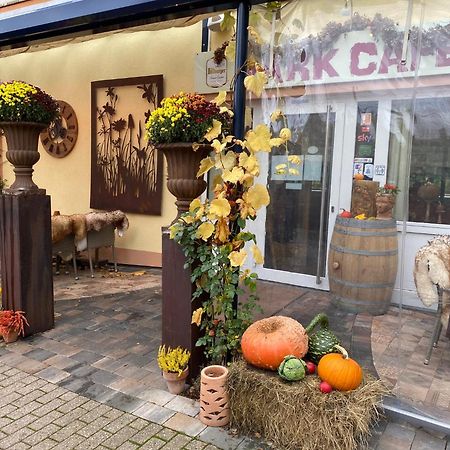 Ferienwohnungen Park Cafe Am Kurpark Bernkastel-Kues Kültér fotó